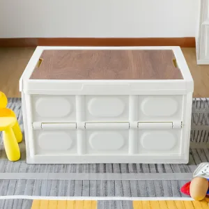 The Better Home Storage Box with Lid-54L Organisers Storage Box | Collapsible & Portable Storage Box for Clothes | Lightweight Home Storage Box | Toys Storage Organizer | Multipurpose Storage Box